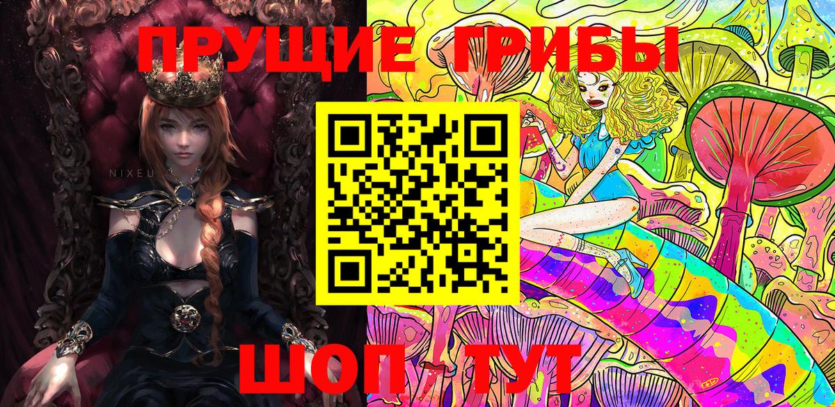 Кохма  Галлюциногенные грибы Psilocybe  Псилоцибиновые грибы GOLDEN TEACHER  Вход с VPN 