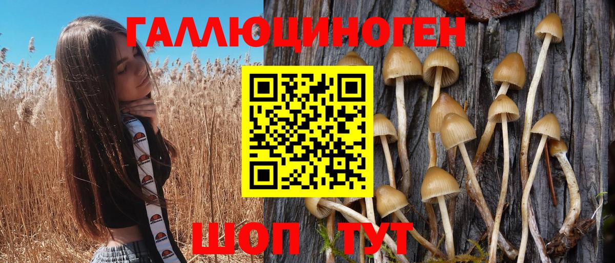 Псилоцибиновые грибы ЛСД Кохма